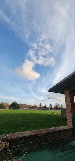 Big Bertha's Grill photo 10